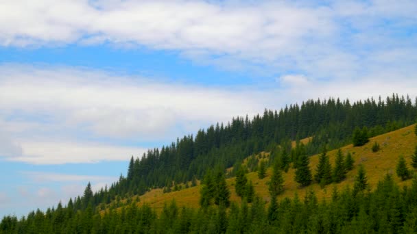 Mountaine erdővel. Természet TimeLapse tájkép gyönyörű kék eget felhők — Stock videók