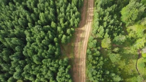 Straße im grünen Wald Luftaufnahme. schöne sommerliche Waldlandschaft bei sonnigem Wetter — Stockvideo