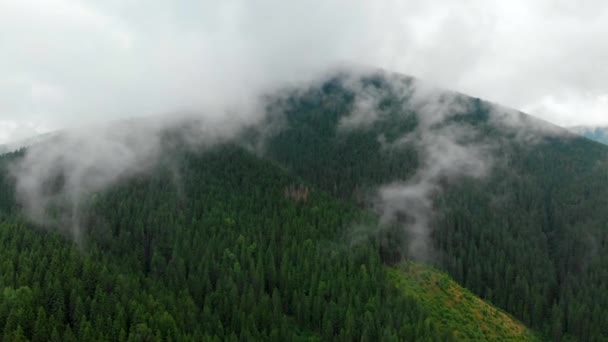 Voando através das nuvens acima dos cumes das montanhas. Altos picos manhã maravilhosa nascer do sol floresta natural Paisagem — Vídeo de Stock