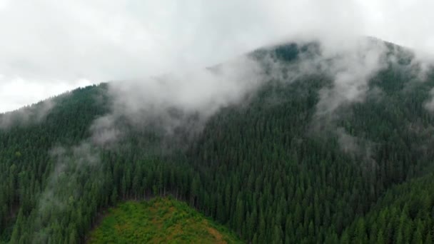 산 꼭대기 위의 구름을 통해 비행. 높은 봉우리 멋진 아침 일출 자연 숲 풍경 — 비디오