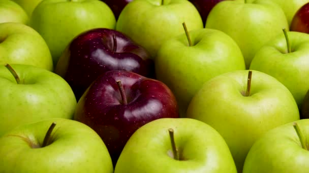 Roter Apfel in grünen Äpfeln. viele Äpfel am Tisch. Gesunde Ernährung — Stockvideo