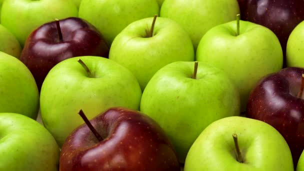 Roter Apfel in grünen Äpfeln. viele Äpfel am Tisch. Gesunde Ernährung — Stockvideo