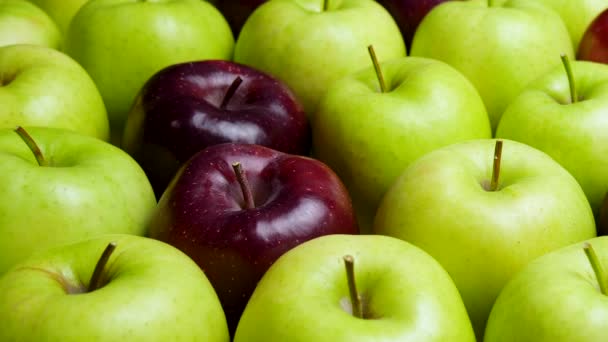 Pomme rouge aux pommes vertes. Beaucoup de pommes à table. Une alimentation saine — Video