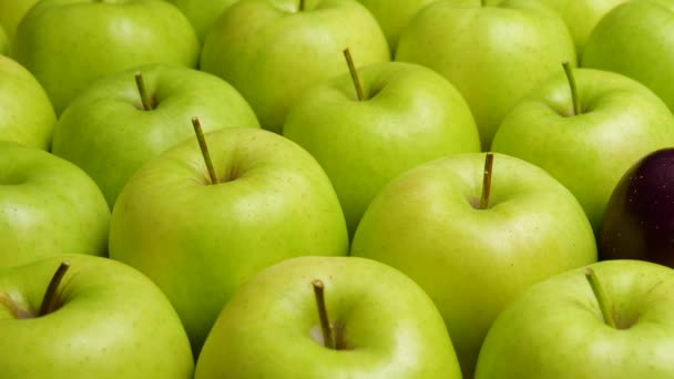 Piros alma zöld almában. Sok alma van az asztalnál. Egészséges táplálkozás — Stock videók