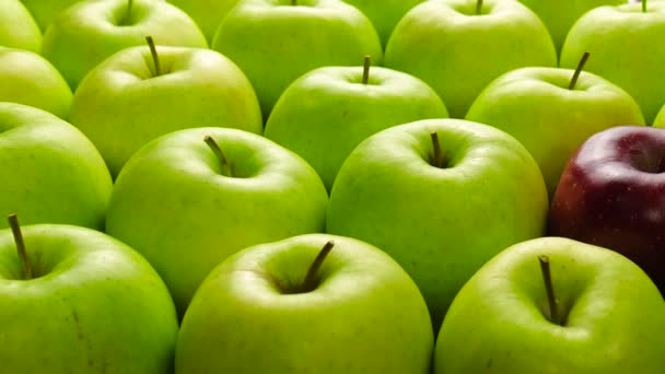 Roter Apfel in grünen Äpfeln. viele Äpfel am Tisch. Gesunde Ernährung — Stockvideo