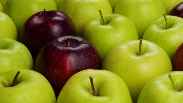 Červené jablko v zelených jablkách. Mnoho jablek u stolu. Zdravá strava — Stock video