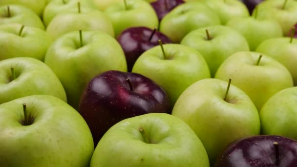 Čerstvá příroda jablka pozadí. Přírodní sklizeň jablek ze stromu. Obchod s potravinami, oddělení ovoce a zeleniny. — Stock video