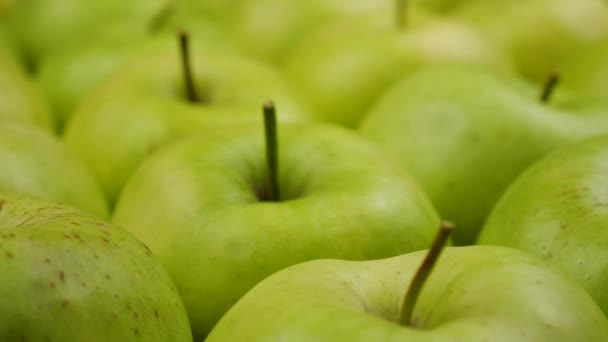 新鲜的天然苹果背景。 天然苹果从树上采摘. 水果和蔬菜商店、部门. — 图库视频影像
