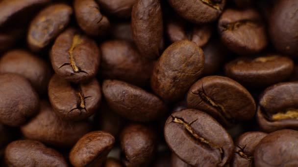 Koffiebonen clouse omhoog Mooie koffiezaden. — Stockvideo