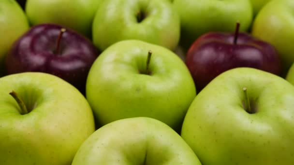 Pommes Nature fraîche fond. Récolte naturelle de pommiers. Epicerie, département des fruits et légumes . — Video