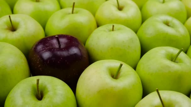 Pommes Nature fraîche fond. Récolte naturelle de pommiers. Epicerie, département des fruits et légumes . — Video