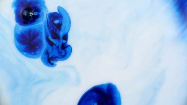 Inchiostro colorato blu Reazione liquida sfondo inchiostro colore astratto. Reazione chimica blu e bianca — Video Stock
