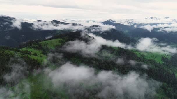 Voo aéreo épico sobre a névoa Forrest, árvores de verão, cores do pôr do sol Inspiração de glória épica, Caminhadas e conceito de turismo — Vídeo de Stock