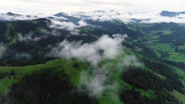 Epische Luchtvlucht Over Mist Forrest, Zomer Bomen, Zonsondergang Kleuren Epische Glorie Inspiratie, Wandelen en Toerisme Concept — Stockvideo