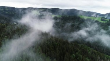 Bulutların arasından dağın tepelerine uçmak. Ormanlı yüksek tepeler, muhteşem doğal manzara