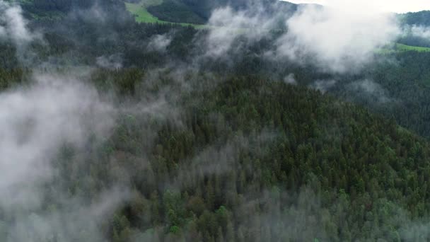 Volando a través de las nubes sobre las cimas de las montañas. Picos altos con bosque, maravilloso paisaje natural — Vídeos de Stock