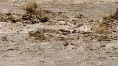 Kirli su. Sea River Gölü çöp kirliliği. Kanalizasyon akıyor. Küresel ısınma 4K