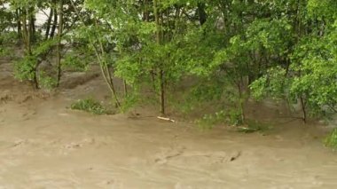 Kirli su. Sea River Gölü çöp kirliliği. Kanalizasyon akıyor. Küresel ısınma 4K