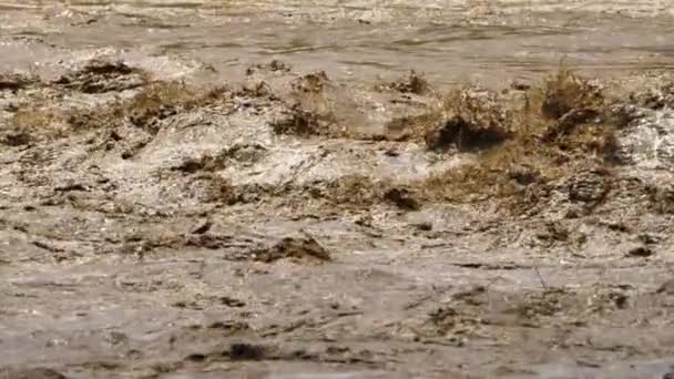 Contaminación de la basura del río sucio. Aguas residuales flotando. Calentamiento global 4K, Desastre del agua — Vídeos de Stock