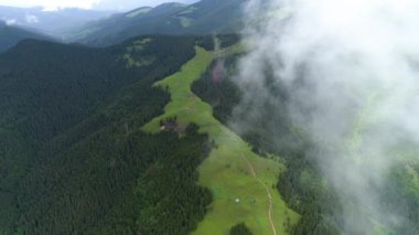 Destansı Hava Uçuşu Sis Ormanı, Yaz Ağaçları, Günbatımı Renkleri Efsanevi Zafer İlham, Yürüyüş ve Turizm Konsepti