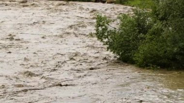 Kirli su. Sea River Gölü çöp kirliliği. Kanalizasyon akıyor. Küresel ısınma 4K