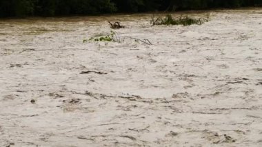 Kirli nehir çöplüğü kirliliği. Kanalizasyon akıyor. Küresel ısınma 4K, Su faciası