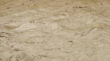 Kirli su. Sea River Gölü çöp kirliliği. Kanalizasyon akıyor. Küresel ısınma 4K