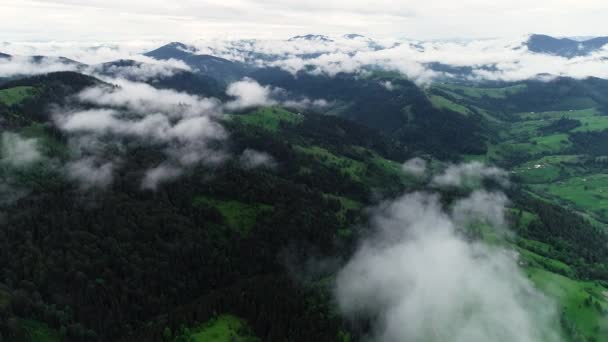Πετώντας μέσα από τα σύννεφα πάνω από τις κορυφές του βουνού. Υψηλές κορυφές με Δάσος, υπέροχο φυσικό τοπίο — Αρχείο Βίντεο