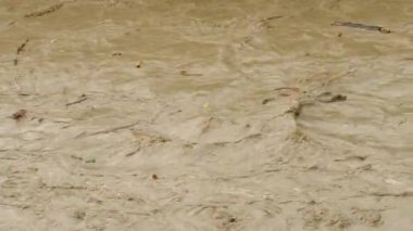 Kirli su. Sea River Gölü çöp kirliliği. Kanalizasyon akıyor. Küresel ısınma 4K