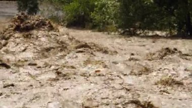 Kirli nehir çöplüğü kirliliği. Kanalizasyon akıyor. Küresel ısınma 4K, Su faciası