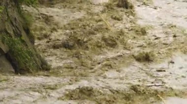 Kirli nehir çöplüğü kirliliği. Kanalizasyon akıyor. Küresel ısınma 4K, Su faciası