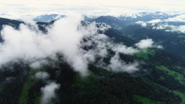 Epic Aerial Flight Over Mist Forrest, Árboles de Verano, Colores del atardecer Epic Glory Inspiración, Senderismo y Turismo Concepto — Vídeos de Stock