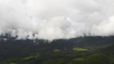 Dağdaki sisli orman. Sabah Çam Ormanı 'nın muhteşem manzarası.