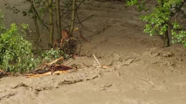 Schmutziges Wasser. Die Verschmutzung des Sees durch Müll. Abwasser schwimmt. Erderwärmung 4K — Stockvideo