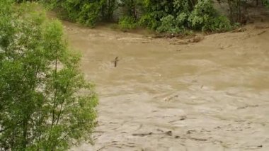 Kirli su. Sea River Gölü çöp kirliliği. Kanalizasyon akıyor. Küresel ısınma 4K