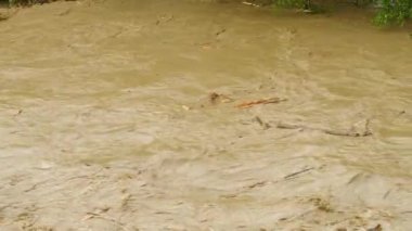 Kirli su. Sea River Gölü çöp kirliliği. Kanalizasyon akıyor. Küresel ısınma 4K