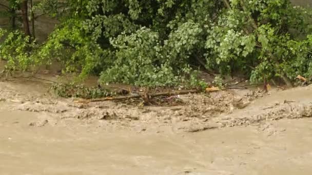 Agua sucia. Contaminación de la basura del lago del mar. Aguas residuales flotando. Calentamiento global 4K — Vídeos de Stock