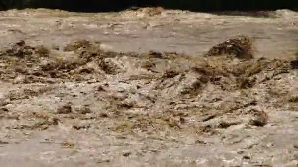 汚い川のゴミ汚染。下水が浮いている。地球温暖化｜4K 、水災害 — ストック動画