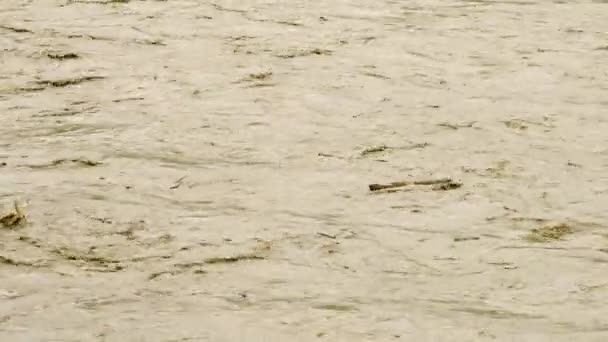 脏水。海江湖泊垃圾污染.污水漂流。全球变暖4K — 图库视频影像