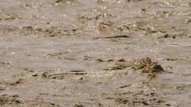 Kirli nehir çöplüğü kirliliği. Kanalizasyon akıyor. Küresel ısınma 4K, Su faciası