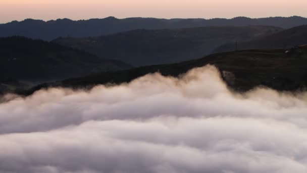 Ceață de dimineață în pădure, peisaj natural frumos al naturii în munte, Fundal — Videoclip de stoc