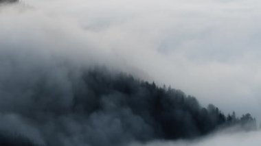 Ormanda Sabah Sisi, Dağ 'da Doğal Güzel Doğa Manzarası, Arka plan