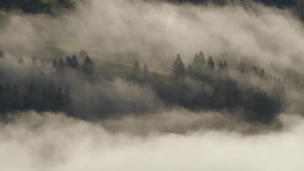 Облака и туман в горах, высокие вершины с лесом, удивительный утренний восход солнца природный пейзаж — стоковое видео