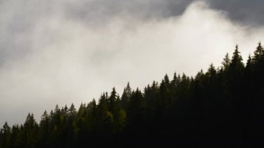 Dağda Bulutlar ve Puslar, Ormanlı Yüksek Tepeler, Muhteşem Sabah Gündoğumu Doğal Manzara