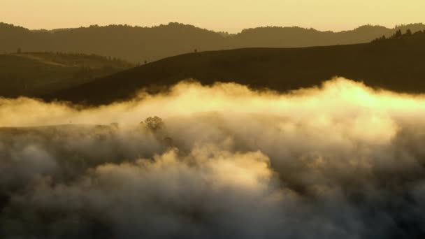 Nuvens e Névoa na Montanha, Altos picos com Floresta, Maravilhoso amanhecer paisagem natural — Vídeo de Stock