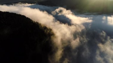 Bulutların ve sislerin arasında uçmak, Dağdaki Orman. Güzel sabah gün doğumu doğal hava manzarası
