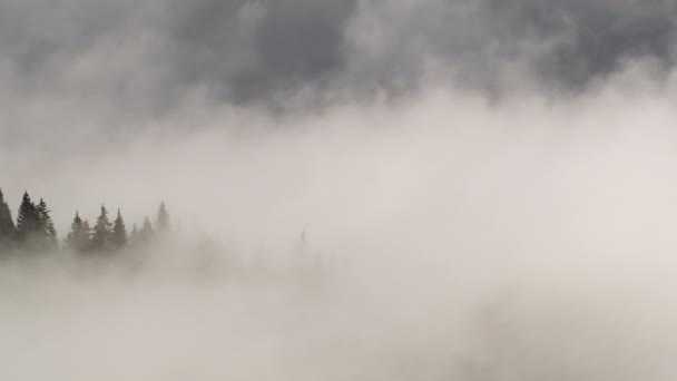 Nubes y niebla en la montaña, Picos altos con bosque, Maravilloso amanecer paisaje natural — Vídeos de Stock