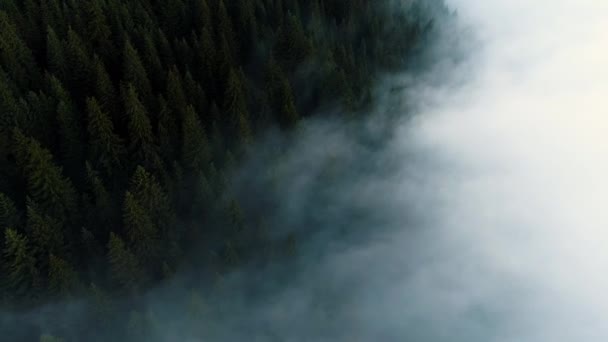 Repül át a felhők és köd, erdő a hegyen. Gyönyörű reggeli napfelkelte természetes táj — Stock videók