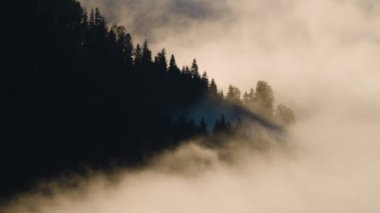 Ormanda Sabah Buğusu, Dağ 'da Doğal Güzel Doğa Manzarası, Arka plan