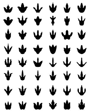 Beyaz arka planda siyah dinozorların ayak izleri.